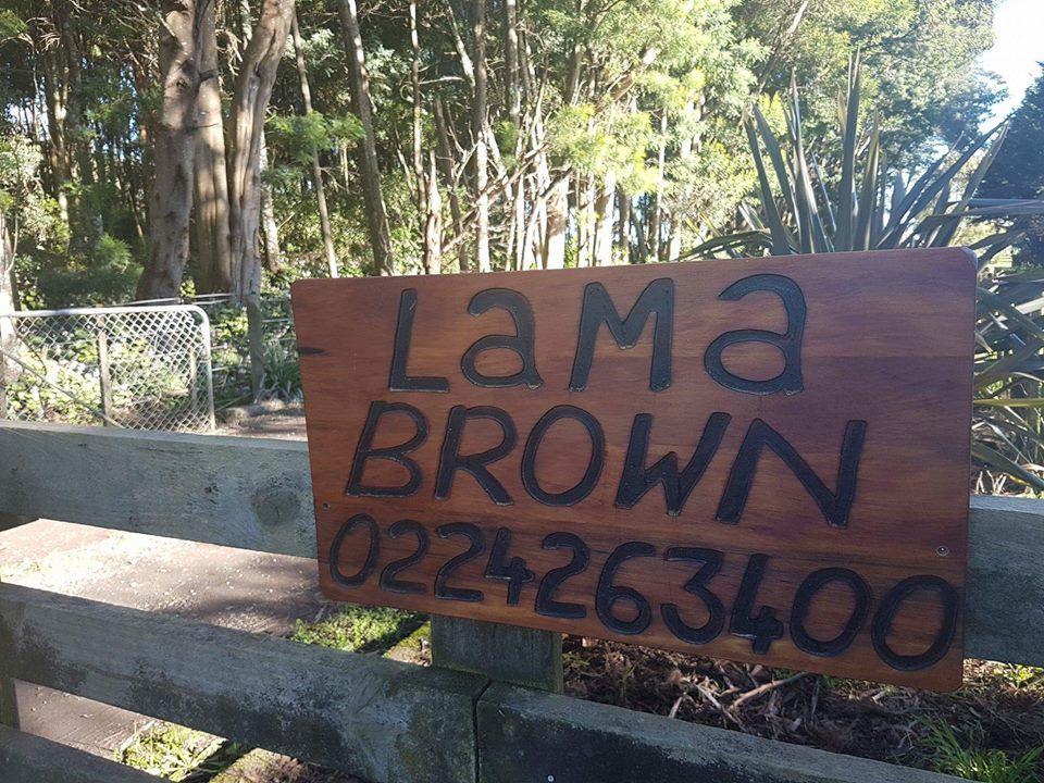 Lama Brown Quiet Rural Cottage Levin Exterior foto